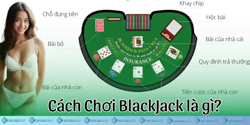 Cách chơi BlackJack là gì? Hướng dẫn luật chơi xì dách chi tiết